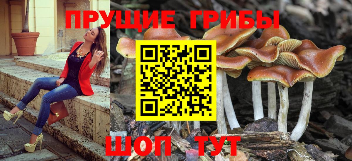 Галлюциногенные грибы Magic Shrooms  закладки  Менделеевск  Вход с VPN 